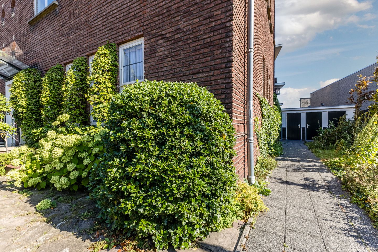 Foto 4 van Paulus Potterstraat 5-3