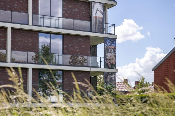 Foto 3 van Blaasjeskruidstraat 9