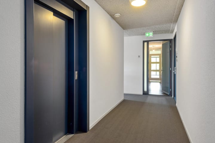 Foto 10 van Blaasjeskruidstraat 9