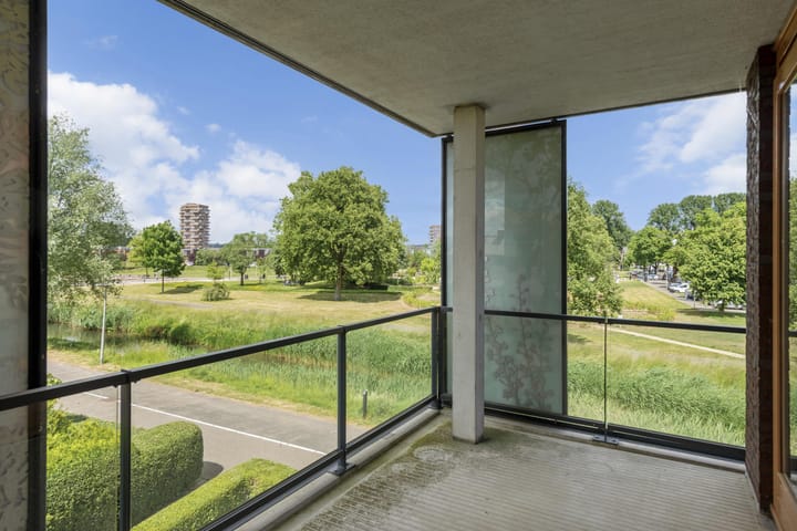 Foto 22 van Blaasjeskruidstraat 9