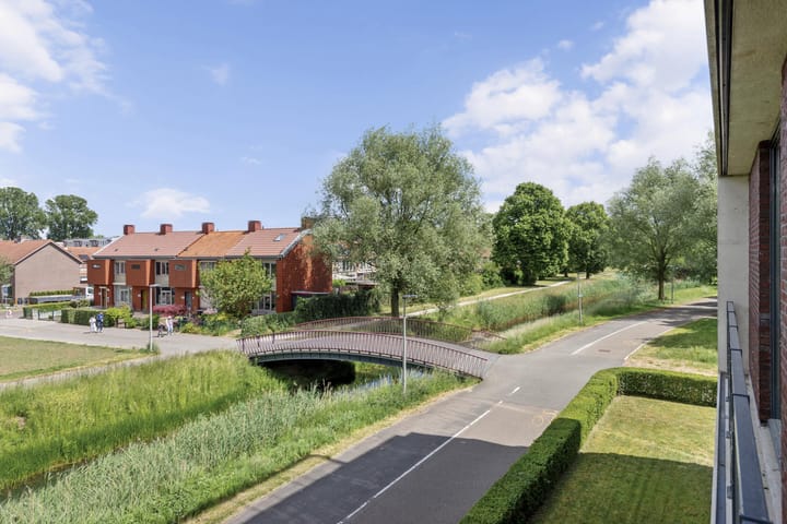 Foto 25 van Blaasjeskruidstraat 9