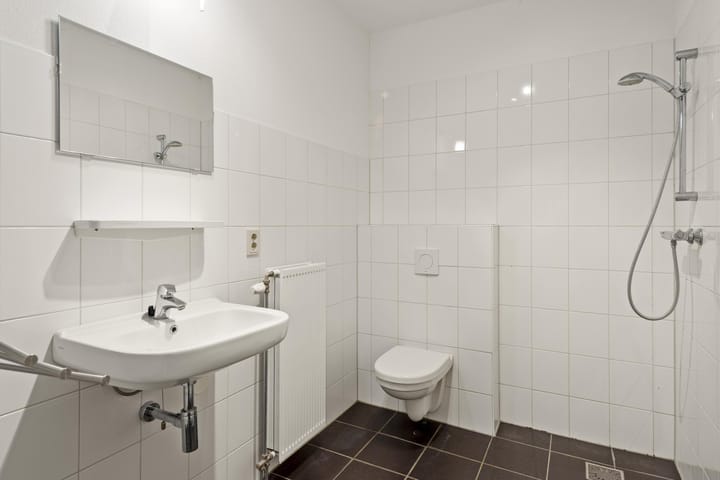 Foto 35 van Blaasjeskruidstraat 9