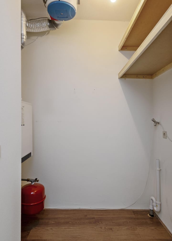 Foto 37 van Blaasjeskruidstraat 9