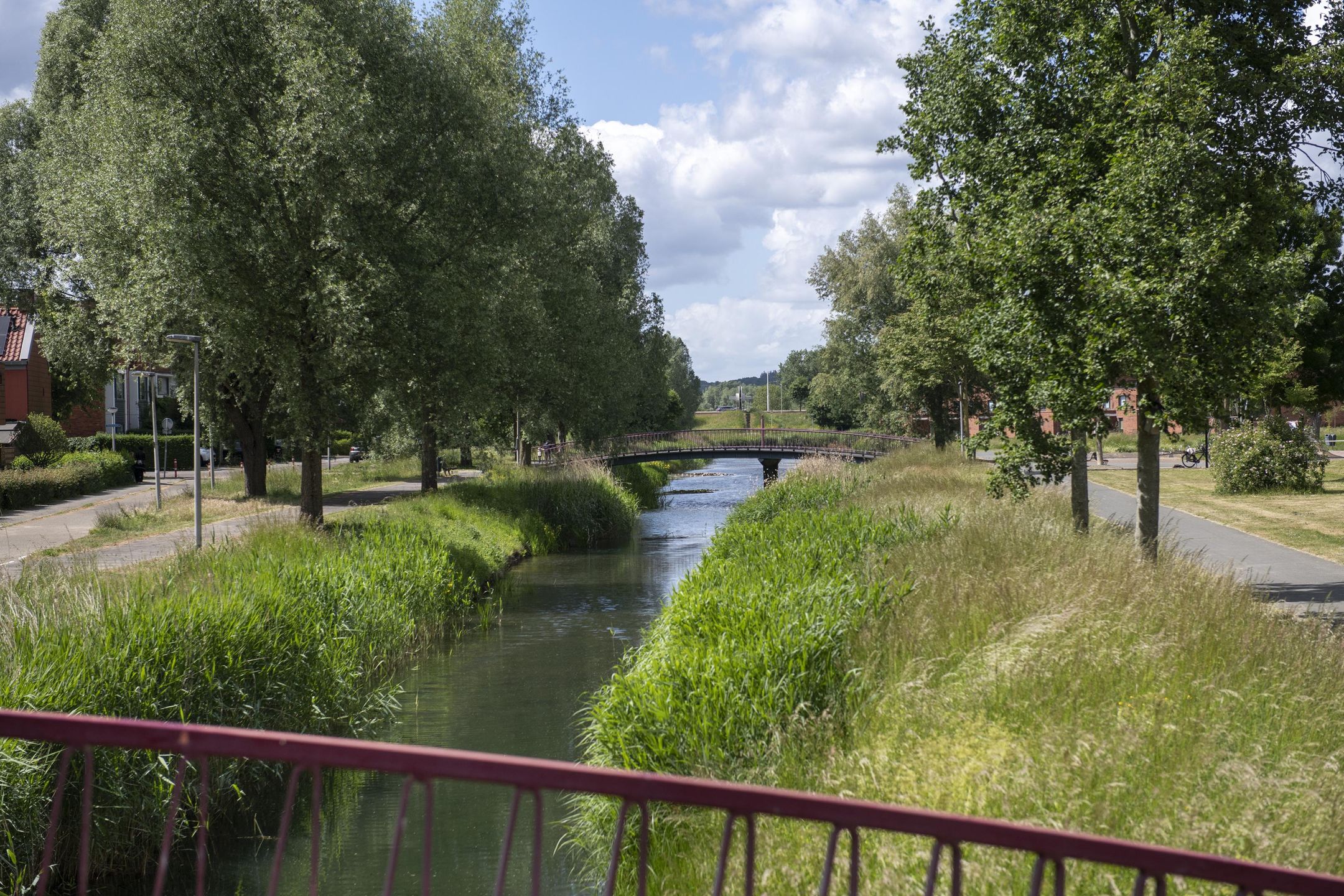 Photo 42 of Blaasjeskruidstraat 9