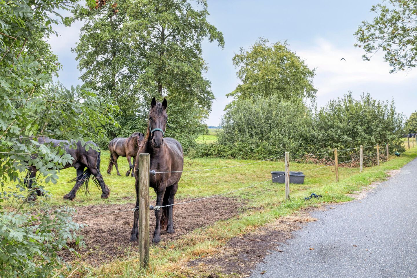 Foto 44 van Hollandiastraat 34