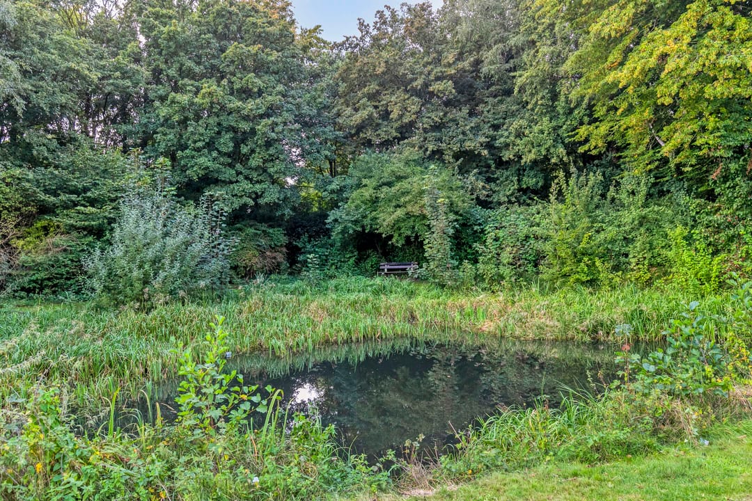 Photo 31 of Wittenburg 20