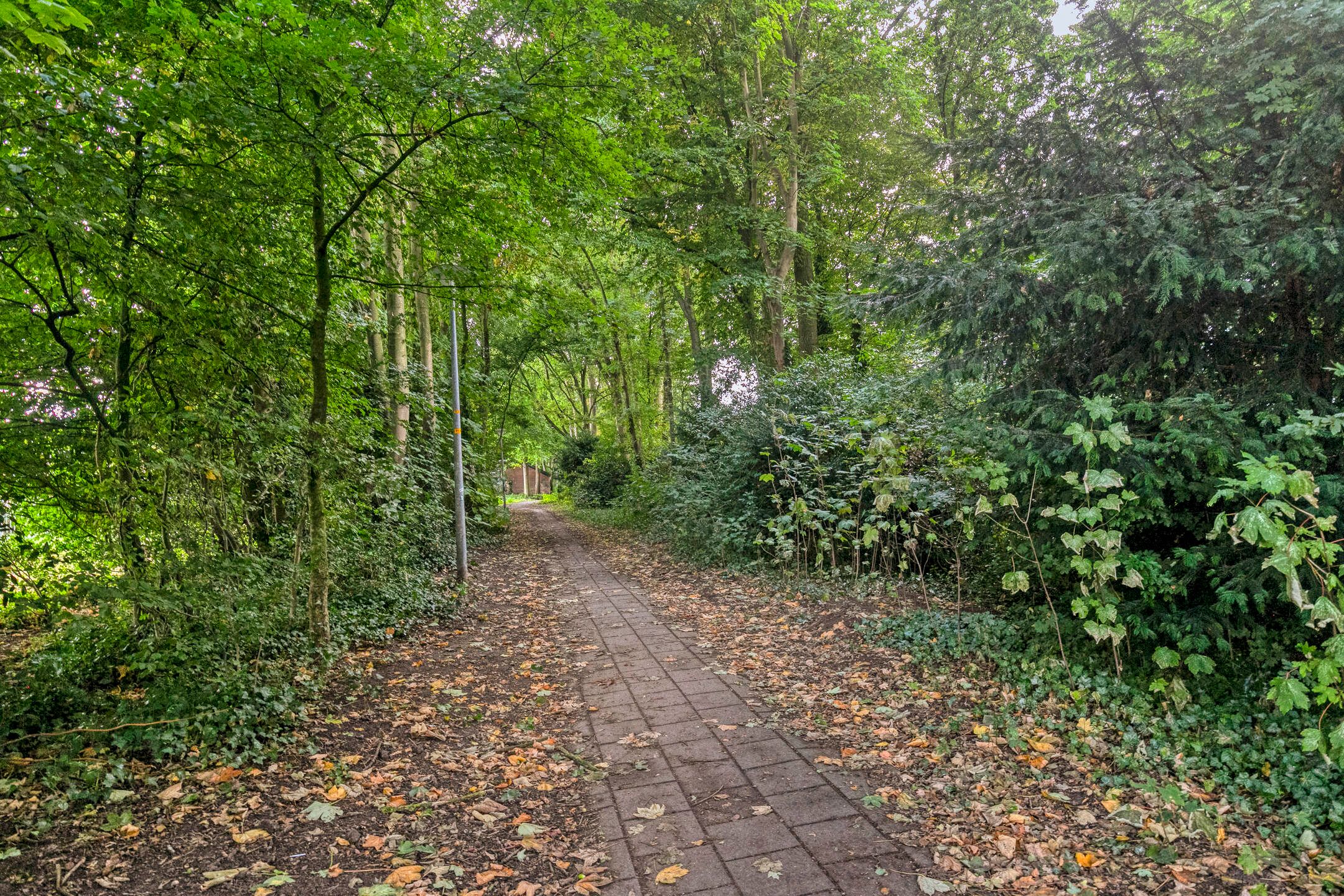 Photo 33 of Wittenburg 20