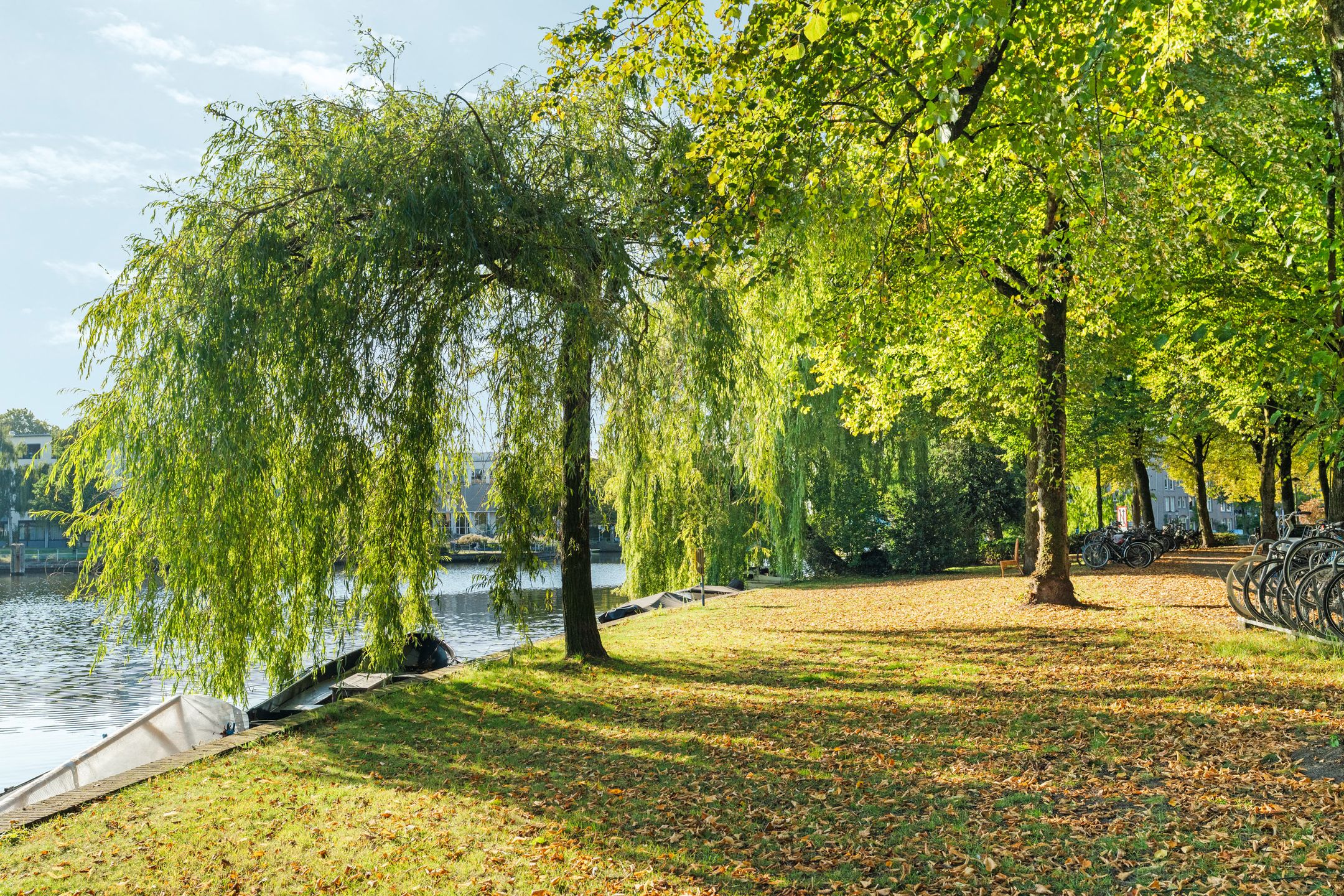 Foto 21 van Geuzenstraat 36-3