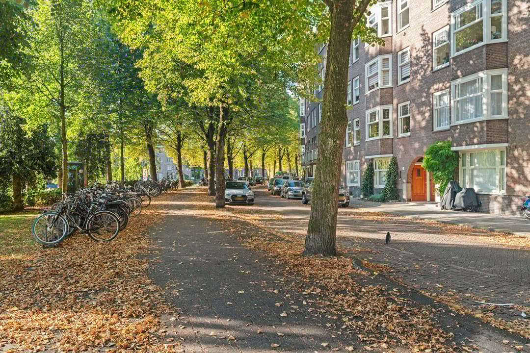 Foto 23 van Geuzenstraat 36-3