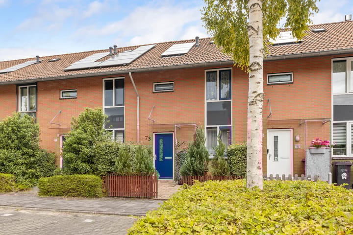 Foto 37 van Jan Wiegersstraat 73