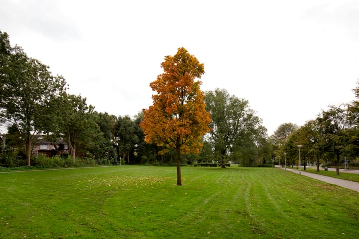 Foto 32 van Schipbroekenweg 20