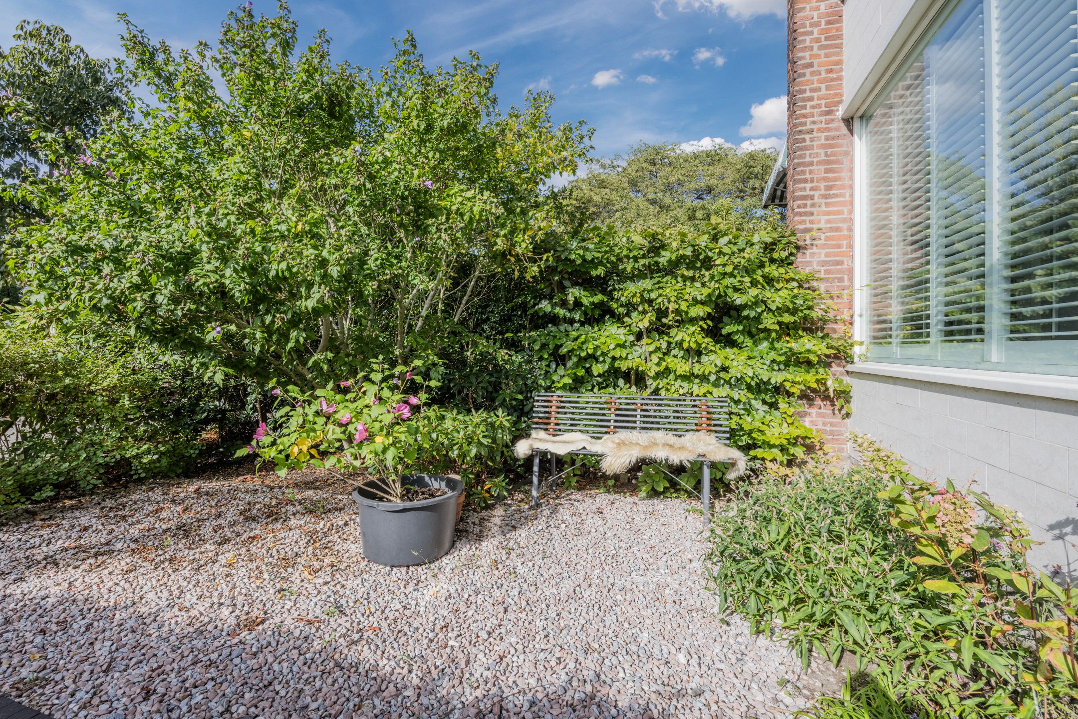 Photo 6 of Burgemeester Wijnaendtslaan 4