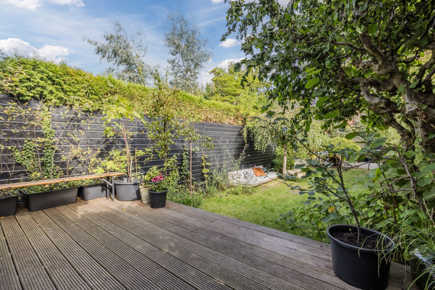 Photo 19 of Burgemeester Wijnaendtslaan 4