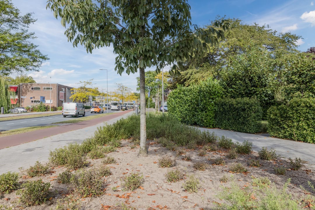 Photo 56 of Burgemeester Wijnaendtslaan 4