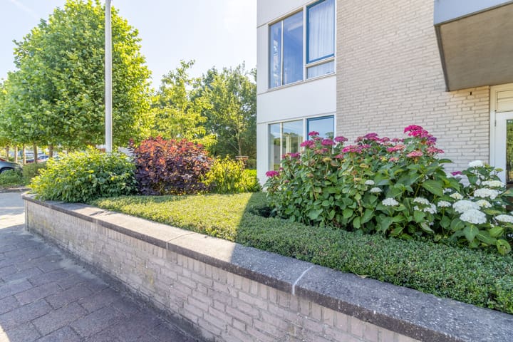 Foto 15 van Dalplein 1