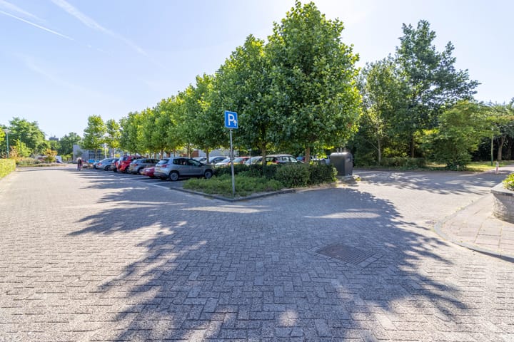 Foto 16 van Dalplein 1