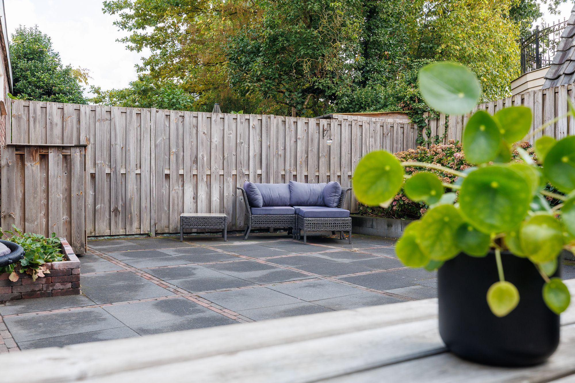 Foto 30 van Wandscheerstraat 37