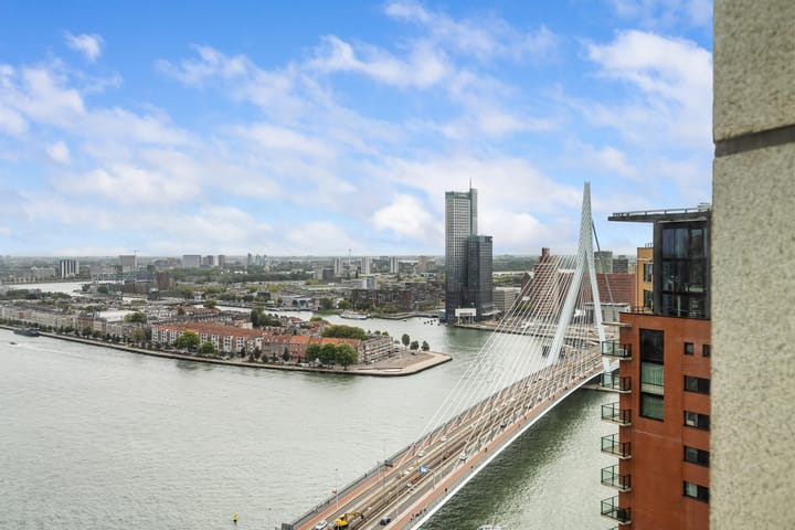 Foto 4 van Houtlaan 269