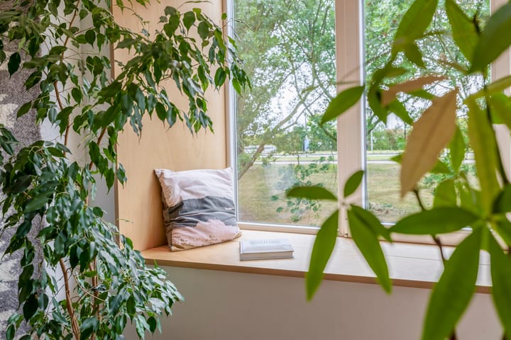 Photo 17 of Schiedamseweg Beneden 537-C