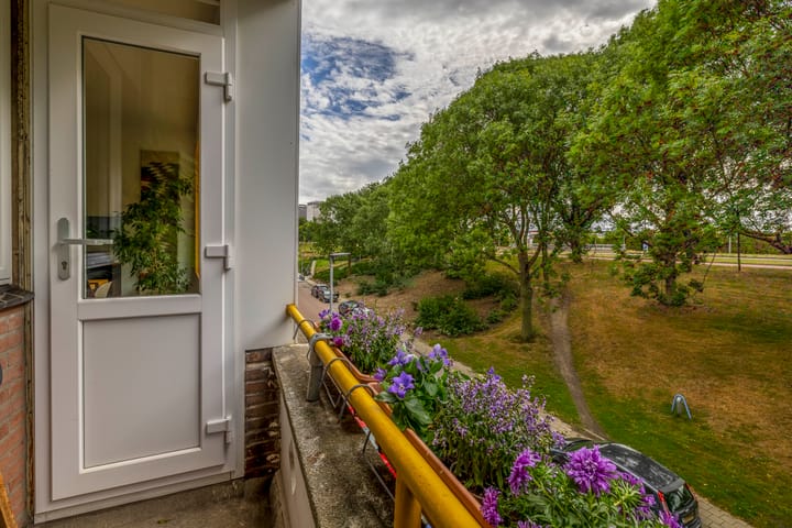 Photo 25 of Schiedamseweg Beneden 537-C