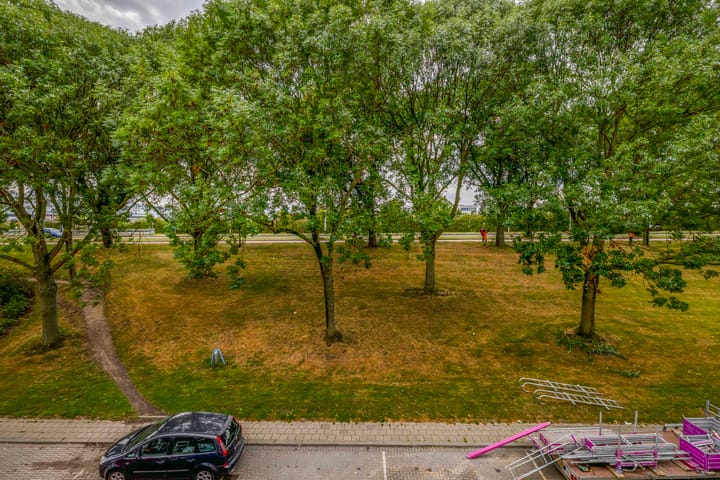 Photo 26 of Schiedamseweg Beneden 537-C