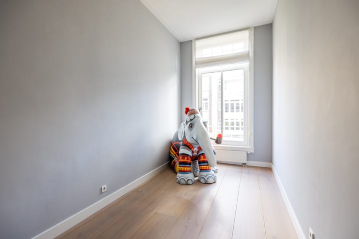 Photo 46 of Johannes Vermeerstraat 25