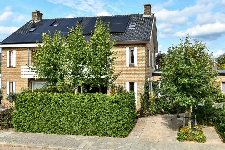 Foto 47 van Brahmsstraat 51