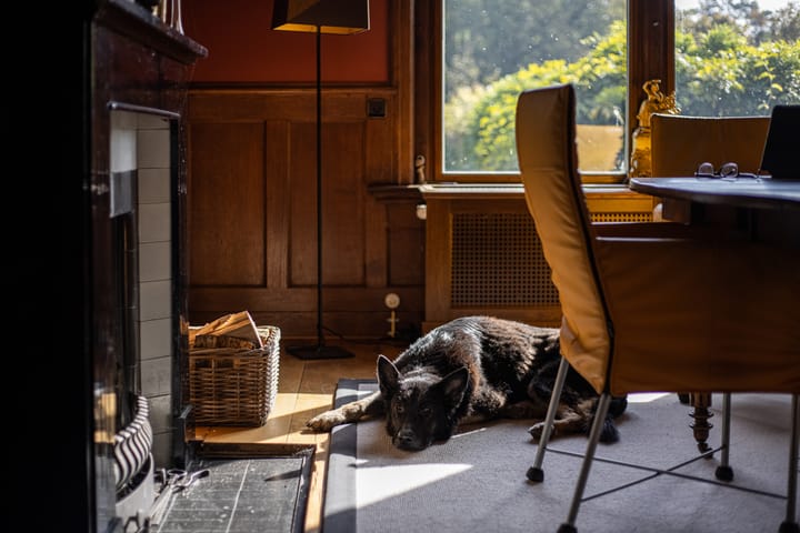 Foto 23 van Wildenborchseweg 11