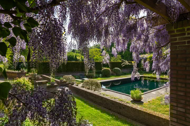 Foto 41 van Wildenborchseweg 11