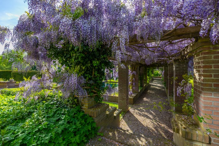 Foto 40 van Wildenborchseweg 11