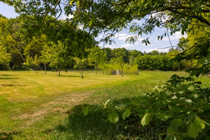 Foto 49 van Wildenborchseweg 11