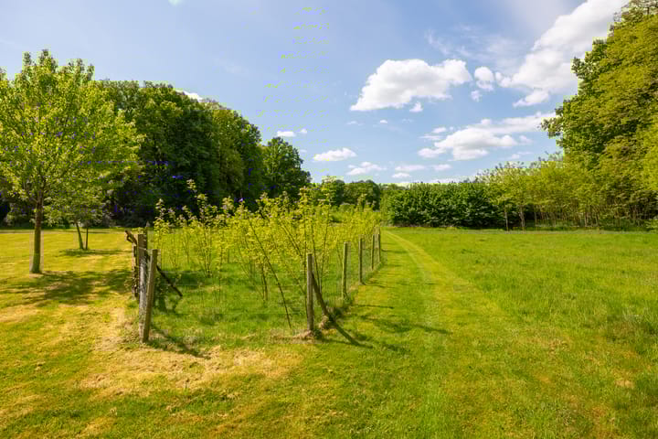 Foto 50 van Wildenborchseweg 11