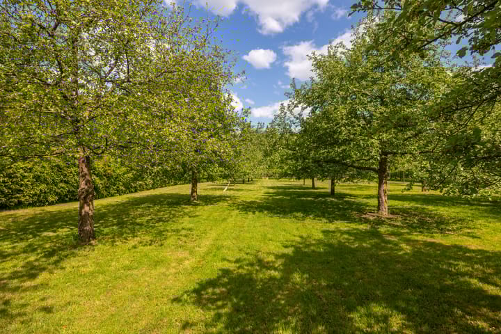 Foto 53 van Wildenborchseweg 11