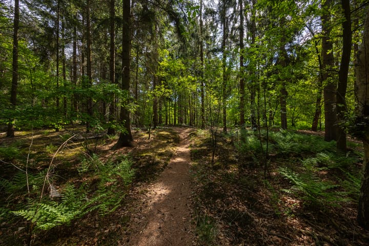 Foto 56 van Wildenborchseweg 11