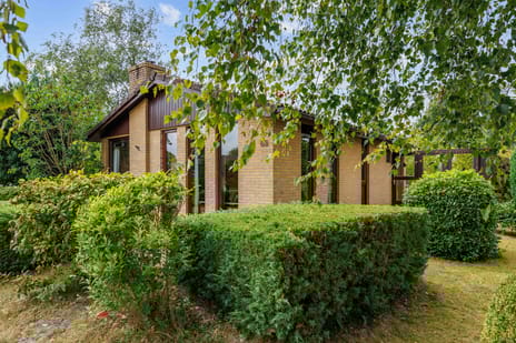 Robbenoort 62 tertiary image