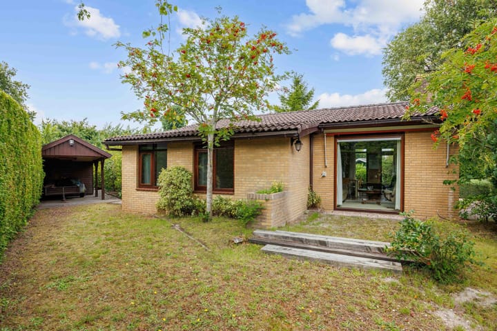 Foto 6 van Robbenoort 62