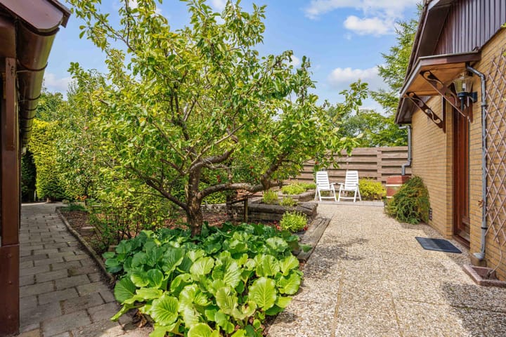 Foto 8 van Robbenoort 62