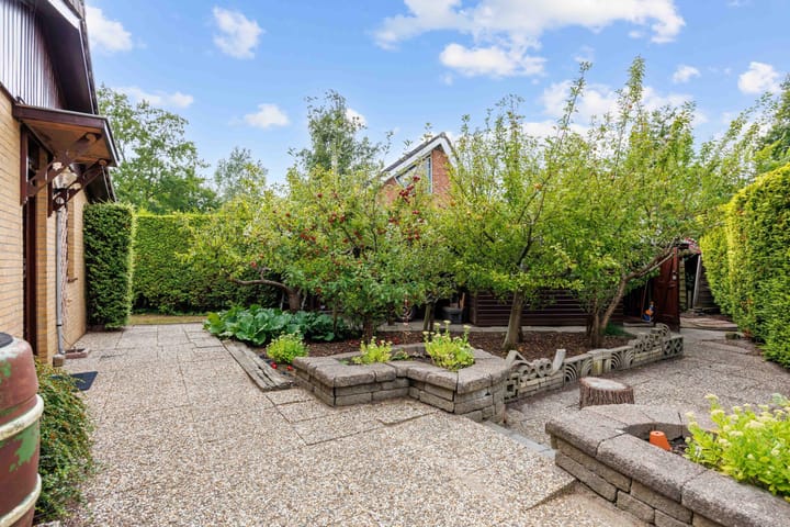 Foto 9 van Robbenoort 62