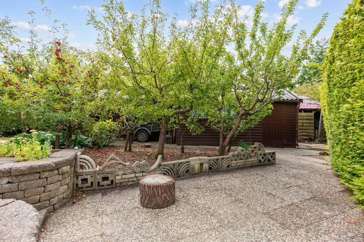 Foto 11 van Robbenoort 62