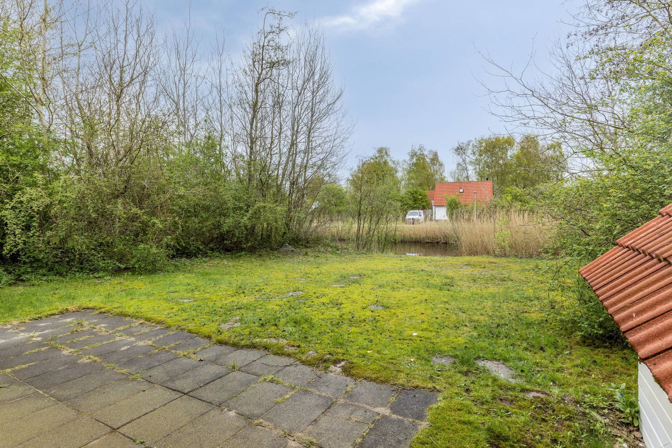 Photo 15 of De Rug 3-293