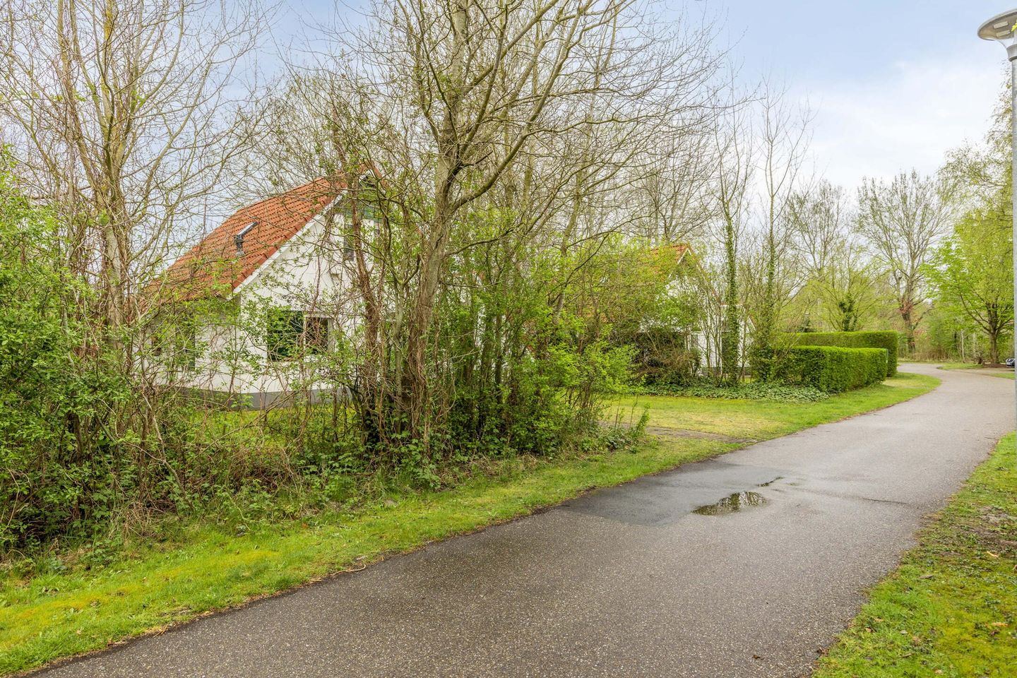 Photo 19 of De Rug 3-293