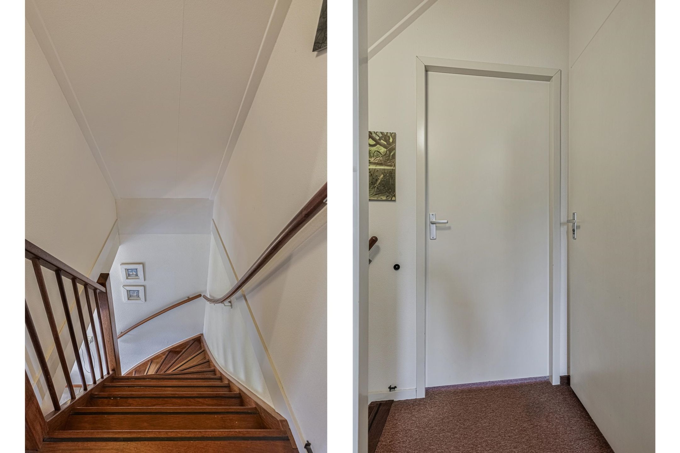Photo 12 of De Rug 3-293