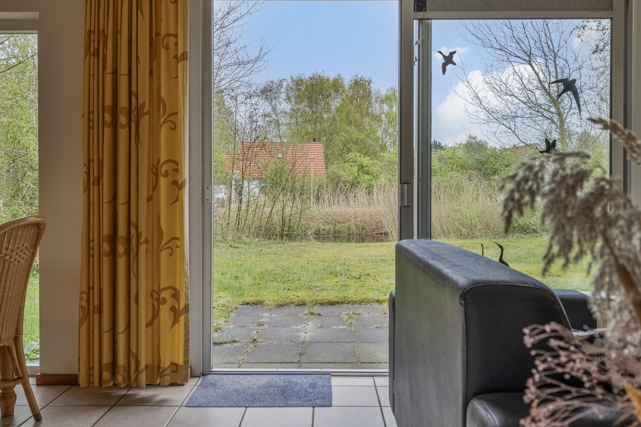 Photo 9 of De Rug 3-293