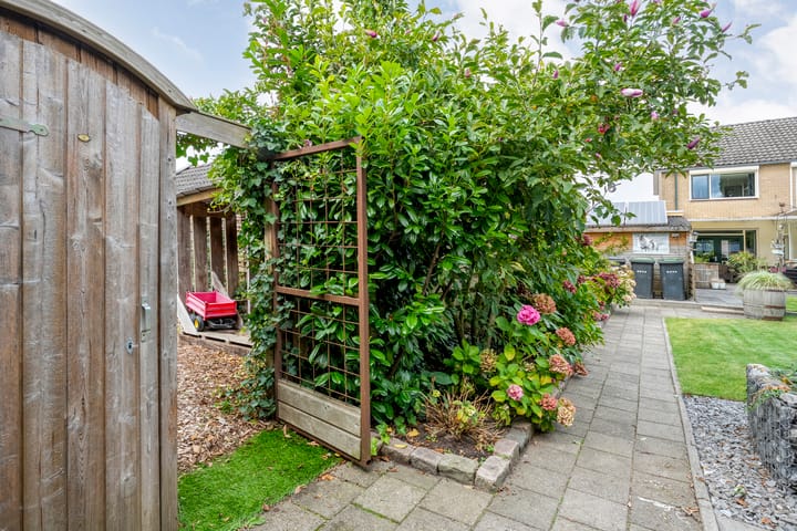 Foto 45 van De Prunus 17