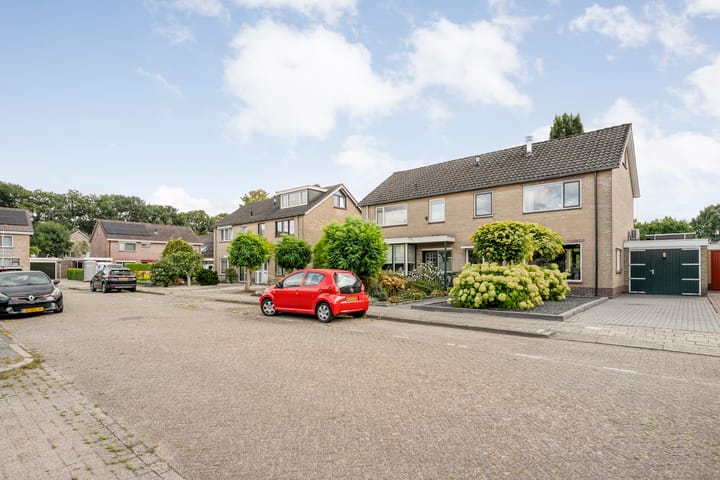 Foto 51 van De Prunus 17