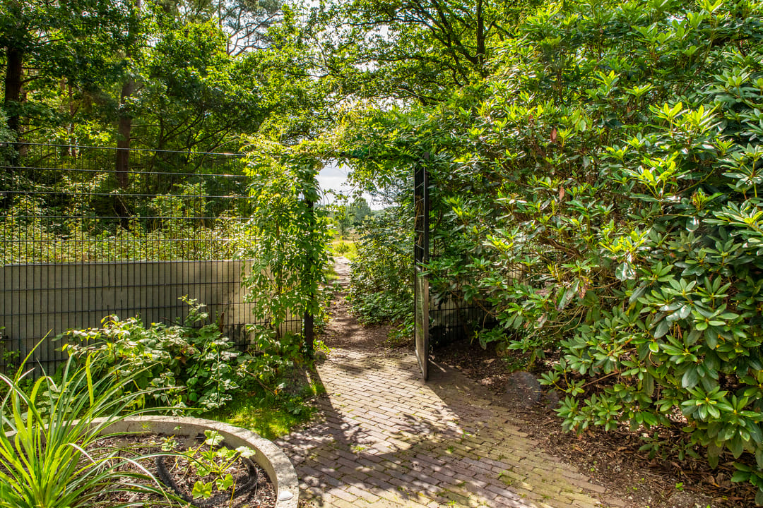 Photo 31 of Nieuwe 's-Gravelandseweg 59-C