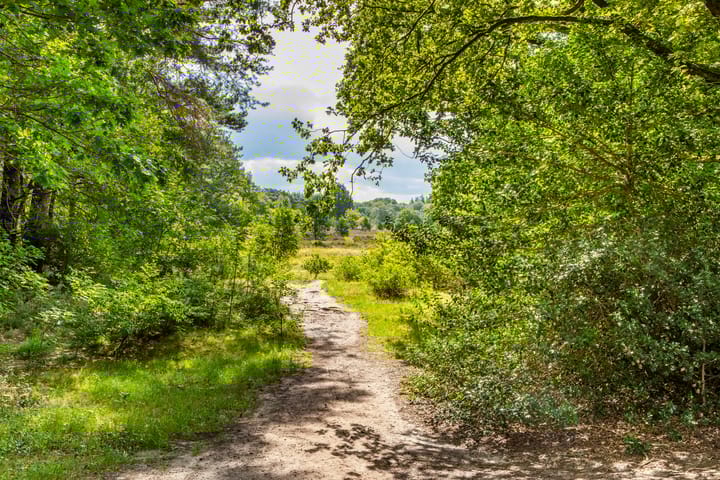 Foto 32 van Nieuwe 's-Gravelandseweg 59-C