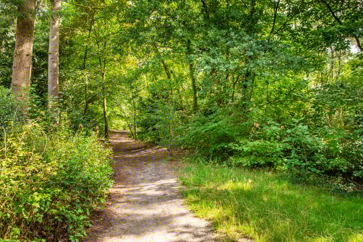 Foto 33 van Nieuwe 's-Gravelandseweg 59-C