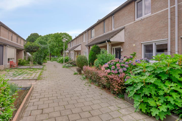 Foto 8 van Koolzaadpad 23