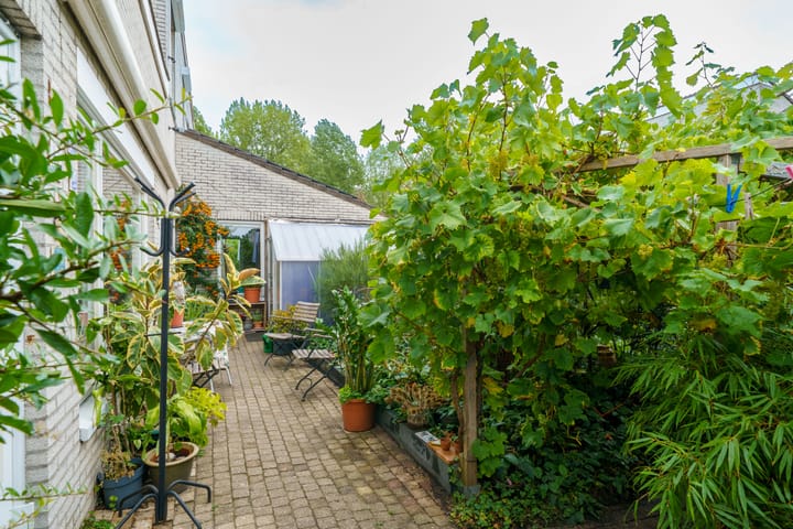 Foto 19 van P. Verhagenstraat 10